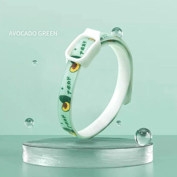 Pet Collar & Leash