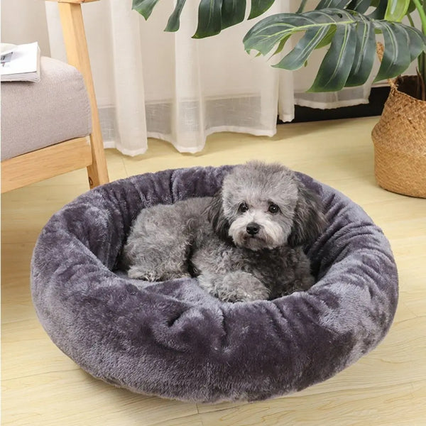 Pet Beds