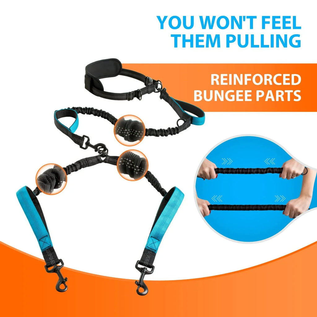 Explosion-Proof Nylon Pet Leash for Dogs - Double Leashes